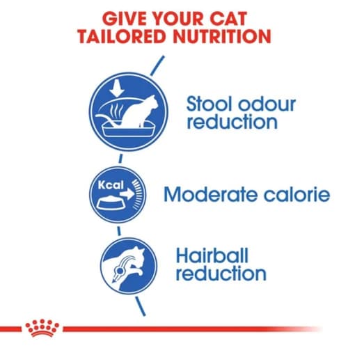 Royal Canin Indoor 2 kg (โรยัล คานิน) อาหารเม็ด แมวโต เลี้ยงในบ้าน อายุ 1-7 ปี สูตรลดกลิ่นมูล ดูแลรูปร่าง (Indoor 27) thumbnail 2