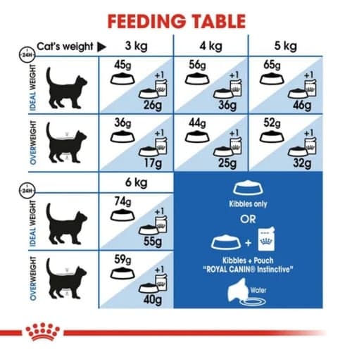 Royal Canin Indoor 2 kg (โรยัล คานิน) อาหารเม็ด แมวโต เลี้ยงในบ้าน อายุ 1-7 ปี สูตรลดกลิ่นมูล ดูแลรูปร่าง (Indoor 27) thumbnail 6