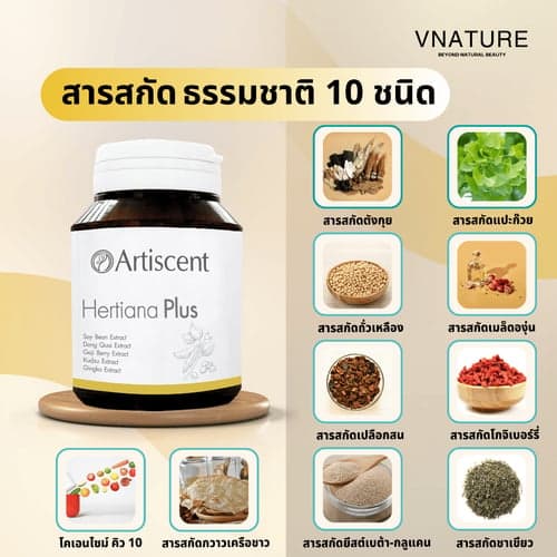 (แพ็คคู่ )วิตามินวัยทอง Artiscent Hertiana Plus อาหารเสริมชะลอวัย อารมณ์แปรปรวน หลับสบาย วัยทอง แห้งคัน หลงลืม thumbnail 4
