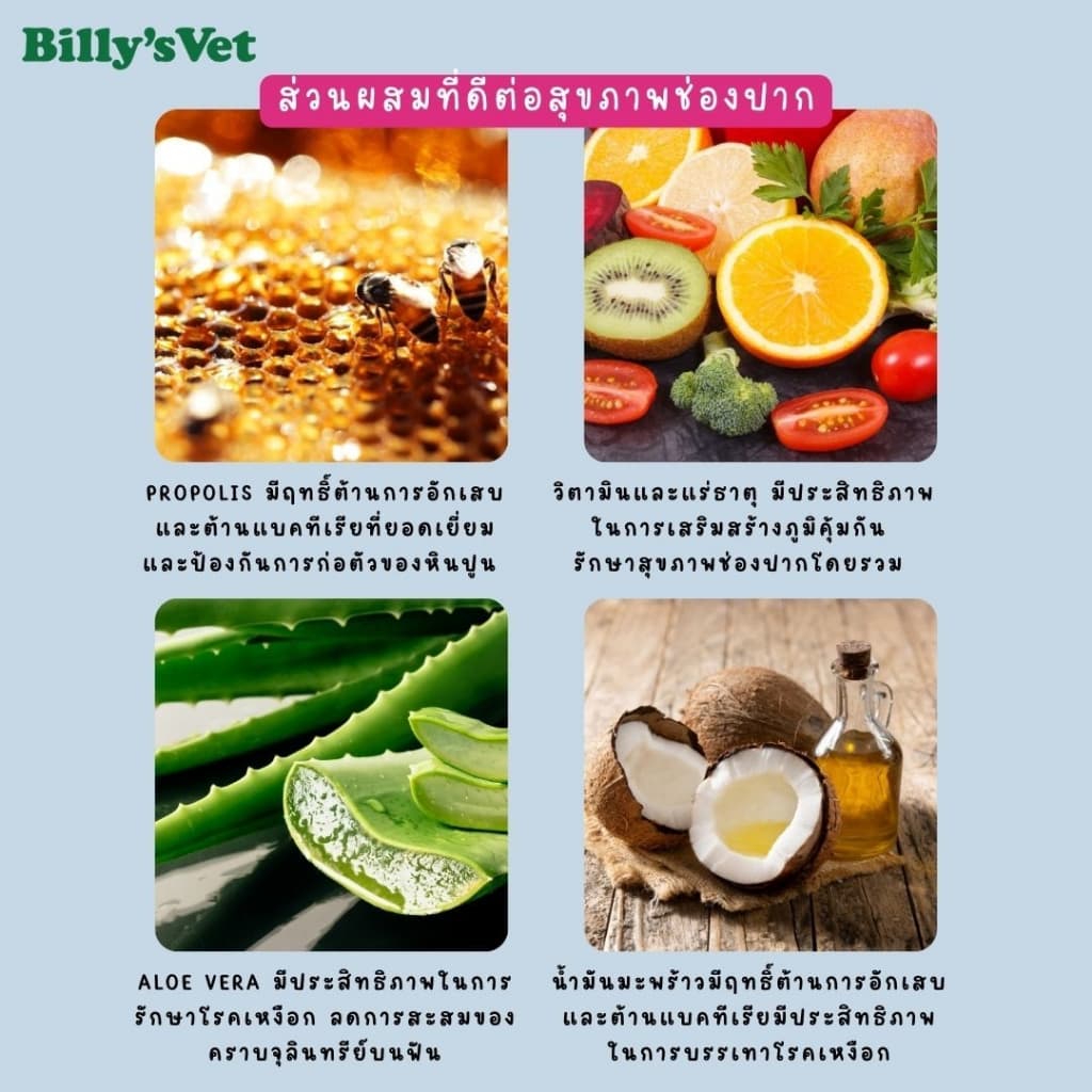 Billy's Vet - Probichew Dental ขนมขัดฟันที่มีโพสต์ไบโอติกส์! สำหรับสุนัข นำเข้าจากเกาหลี thumbnail 4